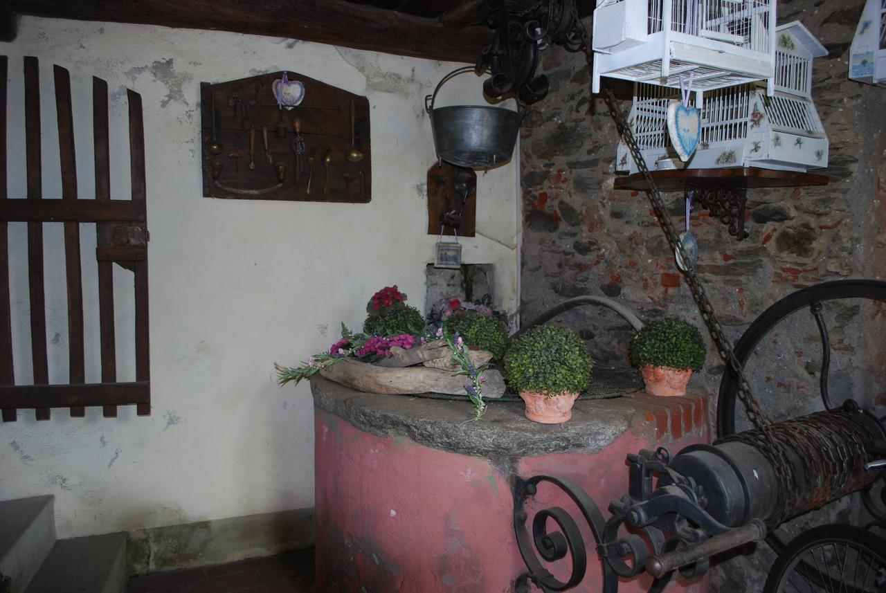 La Curandera 3*